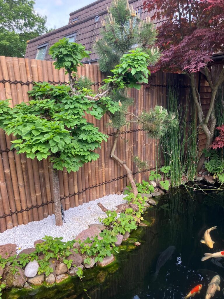 Bamboo fence halfround - 90 x 120 cm - Dark - Eviro Bamboo