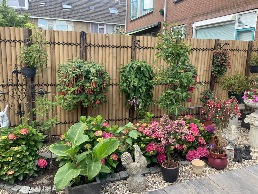 Bamboo fence halfround - 90 x 200 cm - Natural - Eviro Bamboo