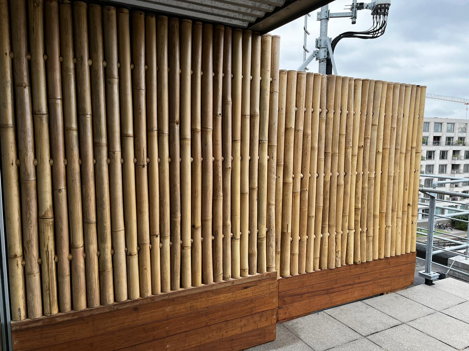 Bamboo fence - 90 x 220 cm - Natural - Eviro Bamboo