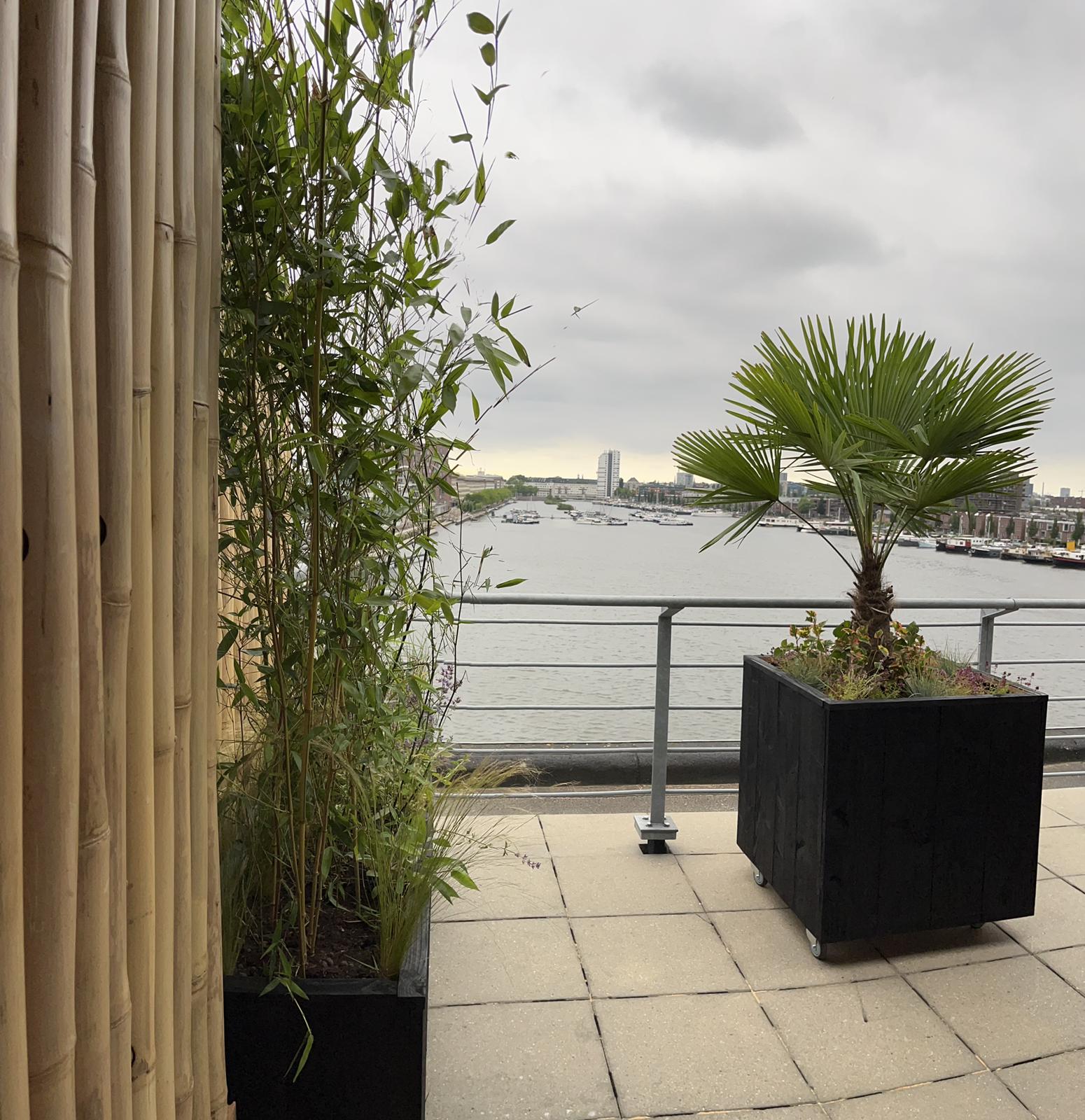 Bamboo fence - 90 x 220 cm - Natural - Eviro Bamboo