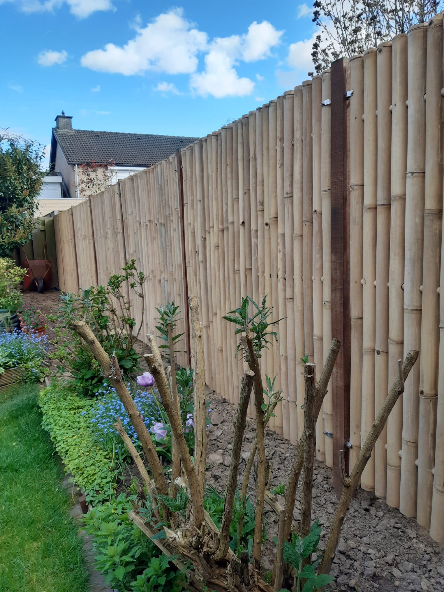 Bamboo fence - 90 x 220 cm - Natural - Eviro Bamboo