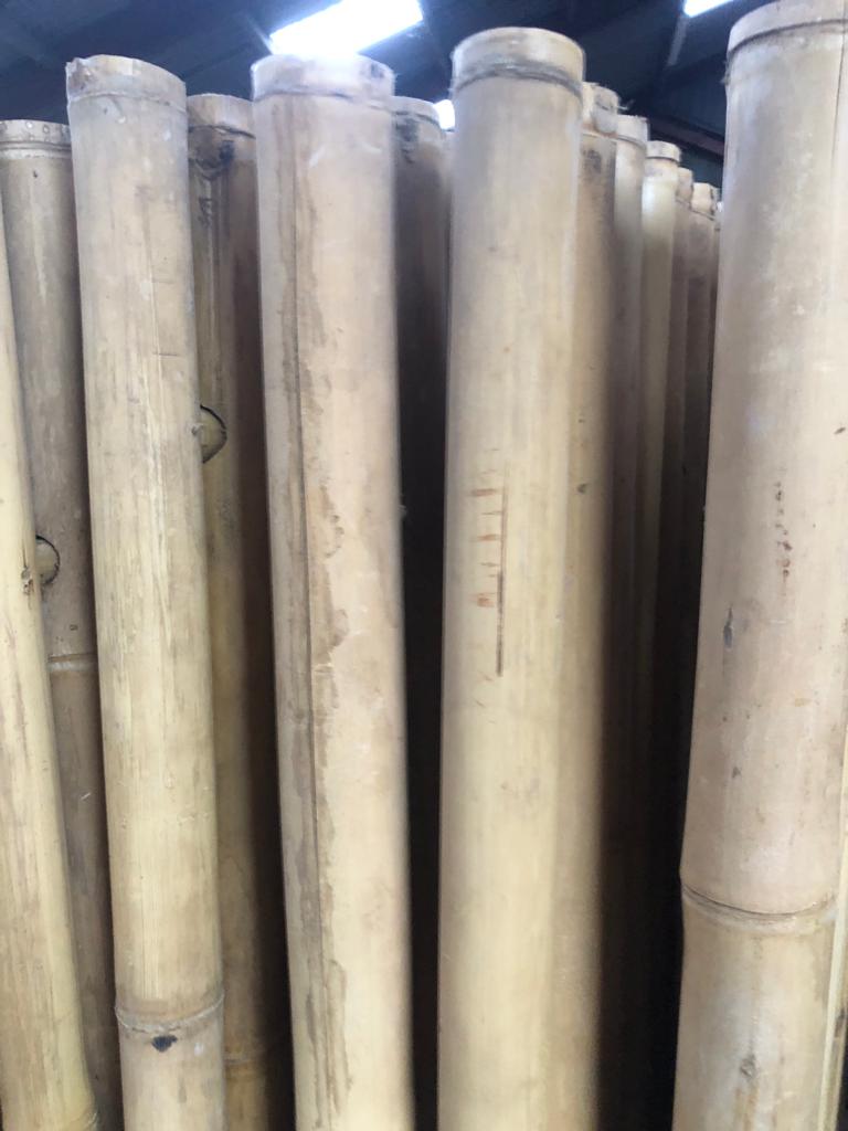 Outlet bamboo fences - 180x200 cm - Natural