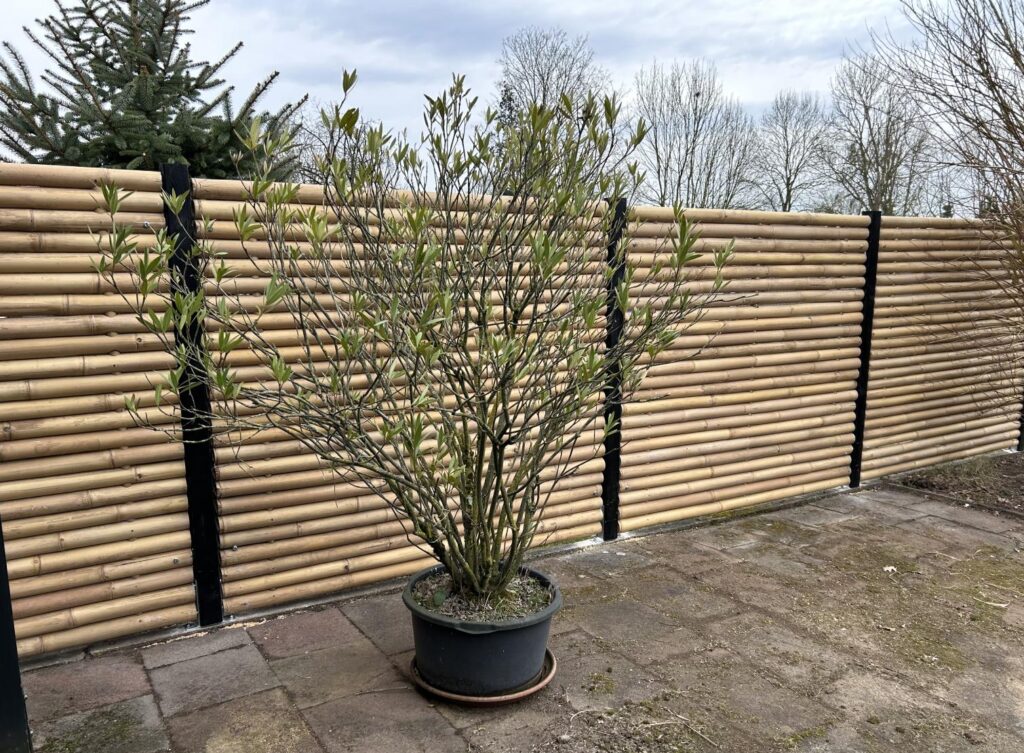 Bamboo fence - 90 x 220 cm - Natural - Eviro Bamboo