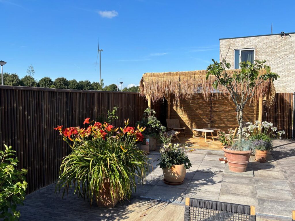 Bamboo fencing roll Giant - 180 x 150 cm - Dark - Eviro Bamboo