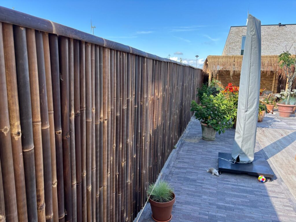 Bamboo fencing roll Giant - 180 x 150 cm - Dark - Eviro Bamboo