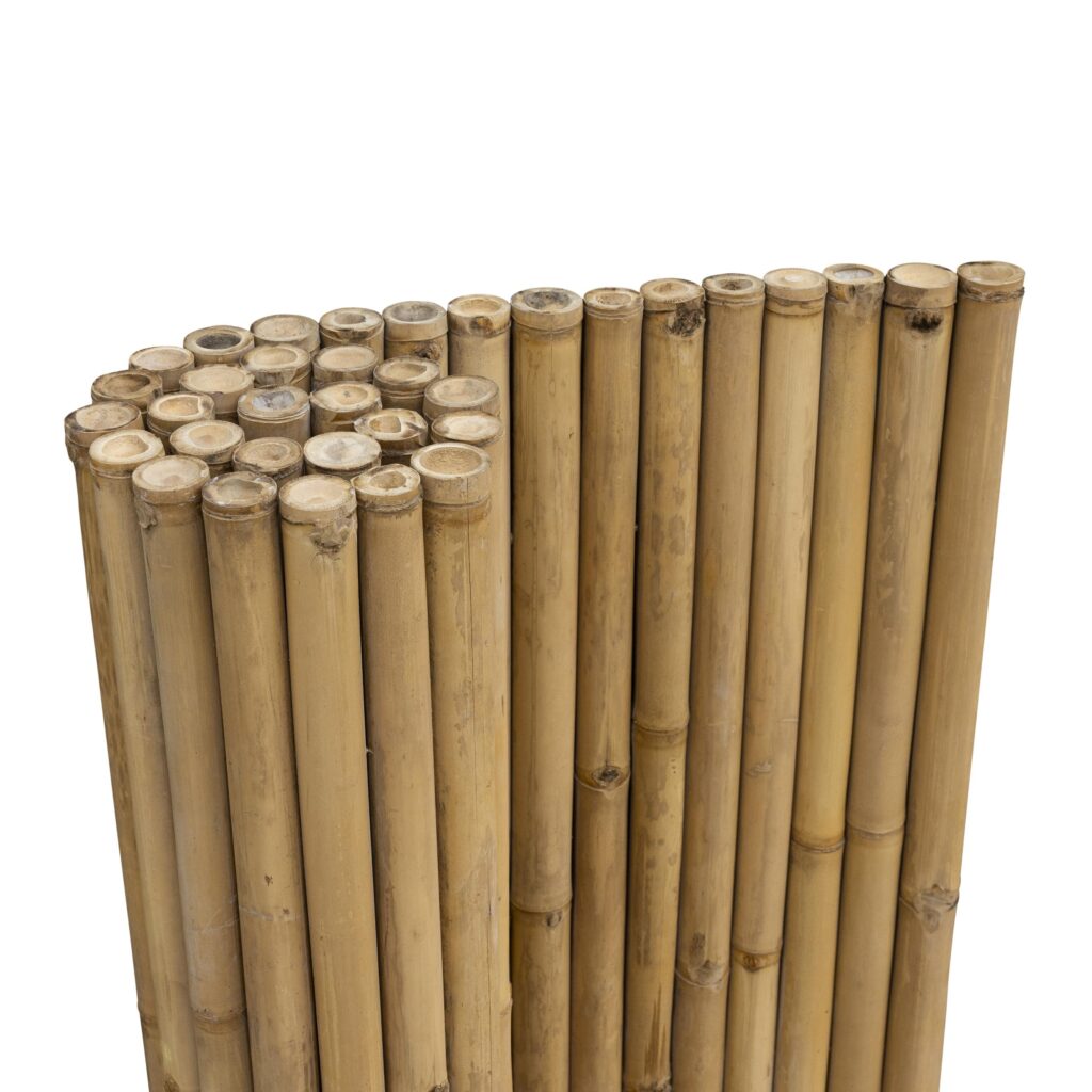 Bamboo Mat Giant - 180 x 180 cm - Natural - Eviro Bamboo