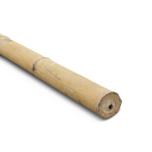 Bamboo pole Giganteus - Ø9-11 x 400 cm - Natural - Eviro Bamboo