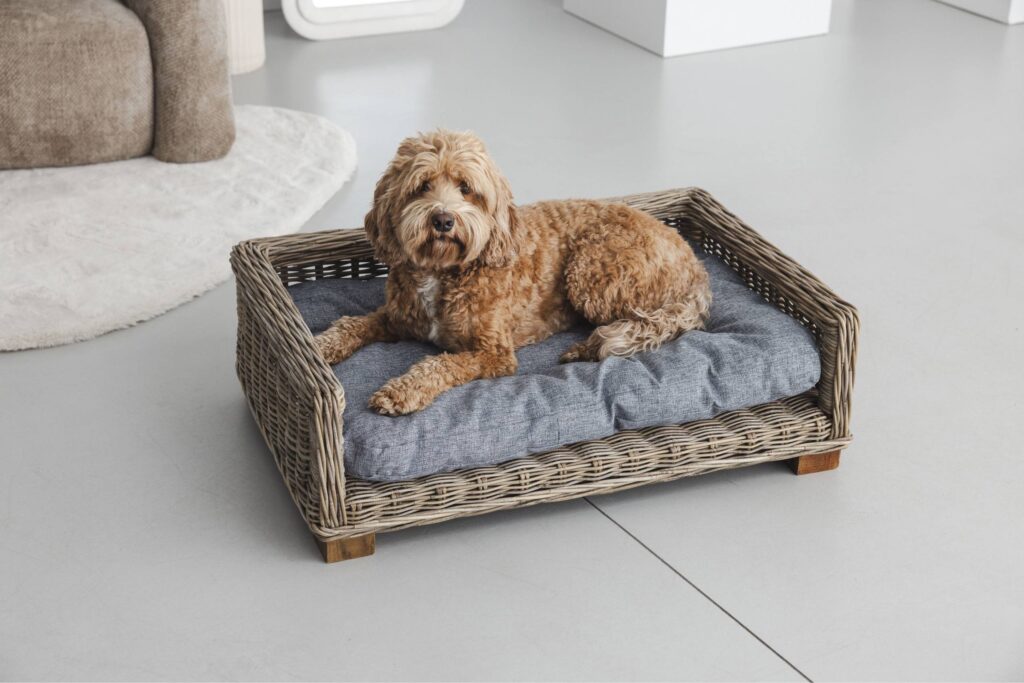 Rattan Dog Basket Rectangle - 50 cm long - Natural Gray - PVB Collection