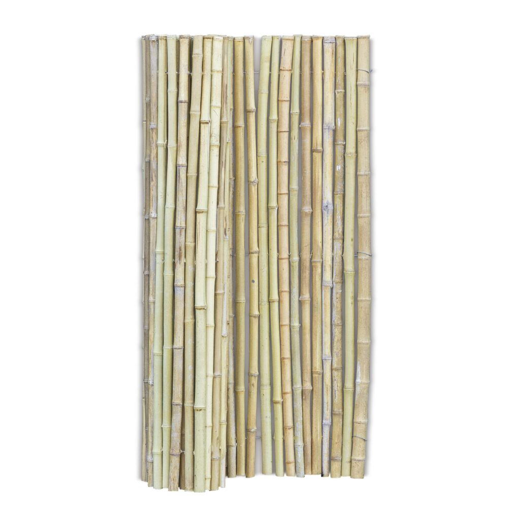 Bamboo fencing roll Moso - 180 x 120 cm - Natural - Eviro Bamboo