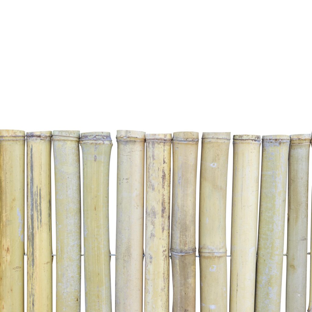 Bamboo fencing roll Moso - 250 x 200 cm - Natural - Eviro Bamboo