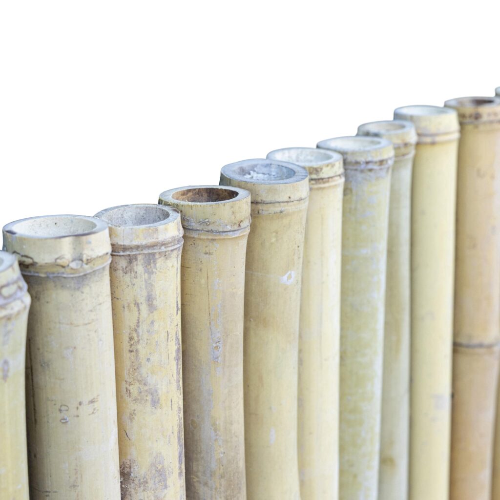 Bamboo fencing roll Moso - 250 x 200 cm - Natural - Eviro Bamboo