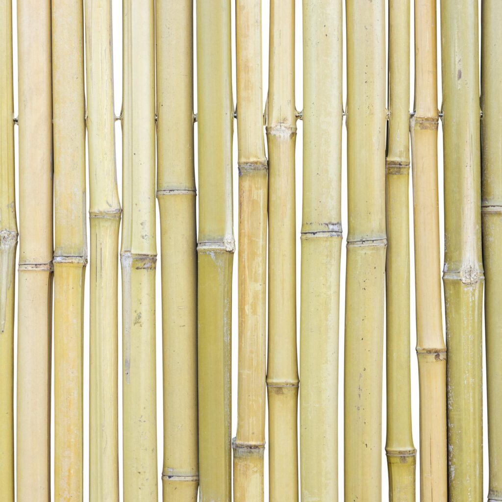 Bamboo fencing roll Moso - 250 x 200 cm - Natural - Eviro Bamboo